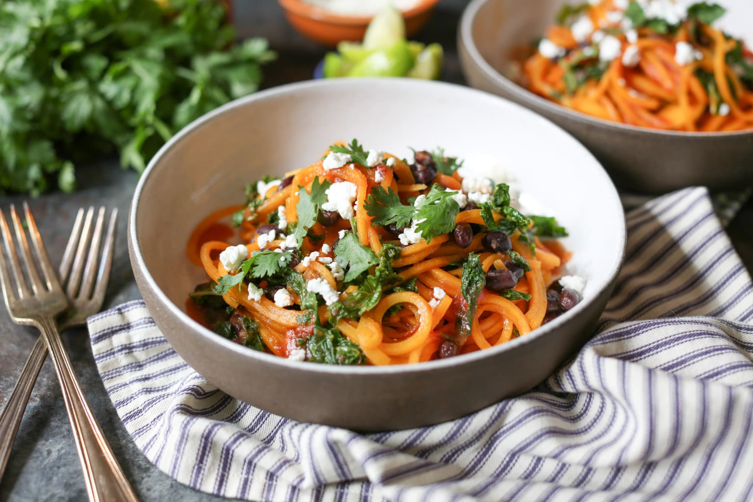 Butternut Squash Noodle, Black Bean, and Kale Enchilada Bowls